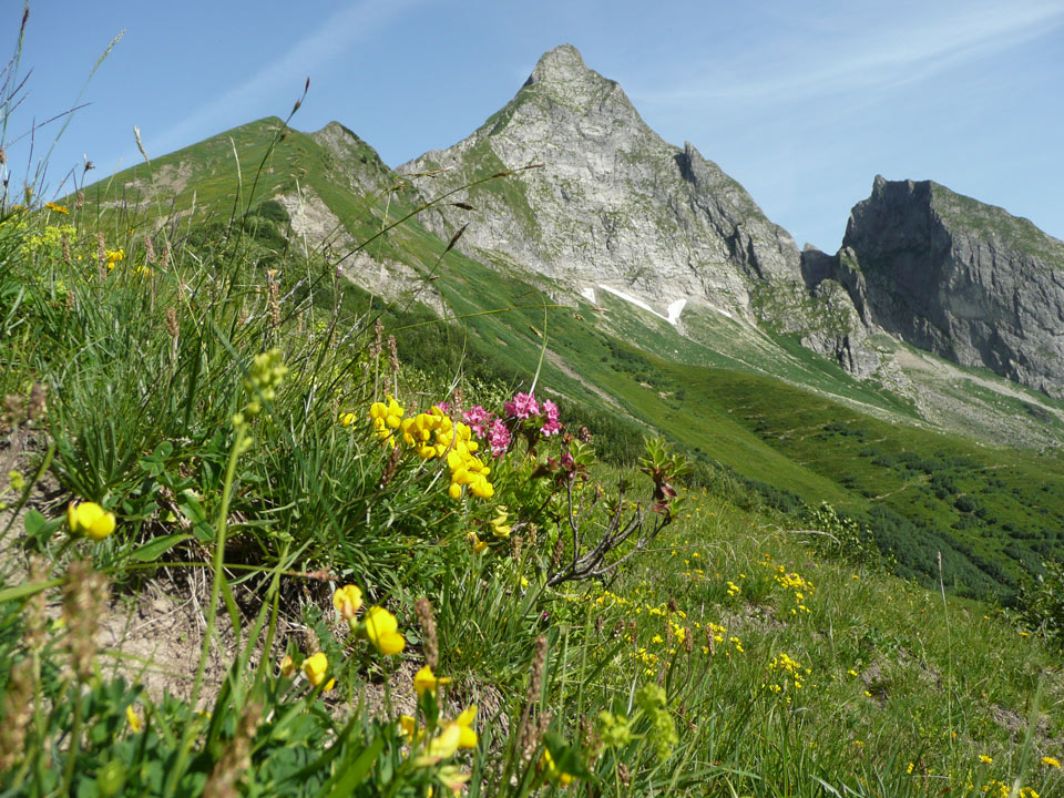 Tannheimer-Hof Berge Höfats