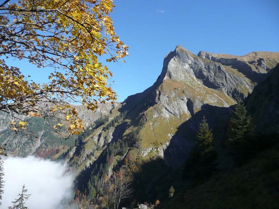 Tannheimer-Hof Berge Rädlergrat